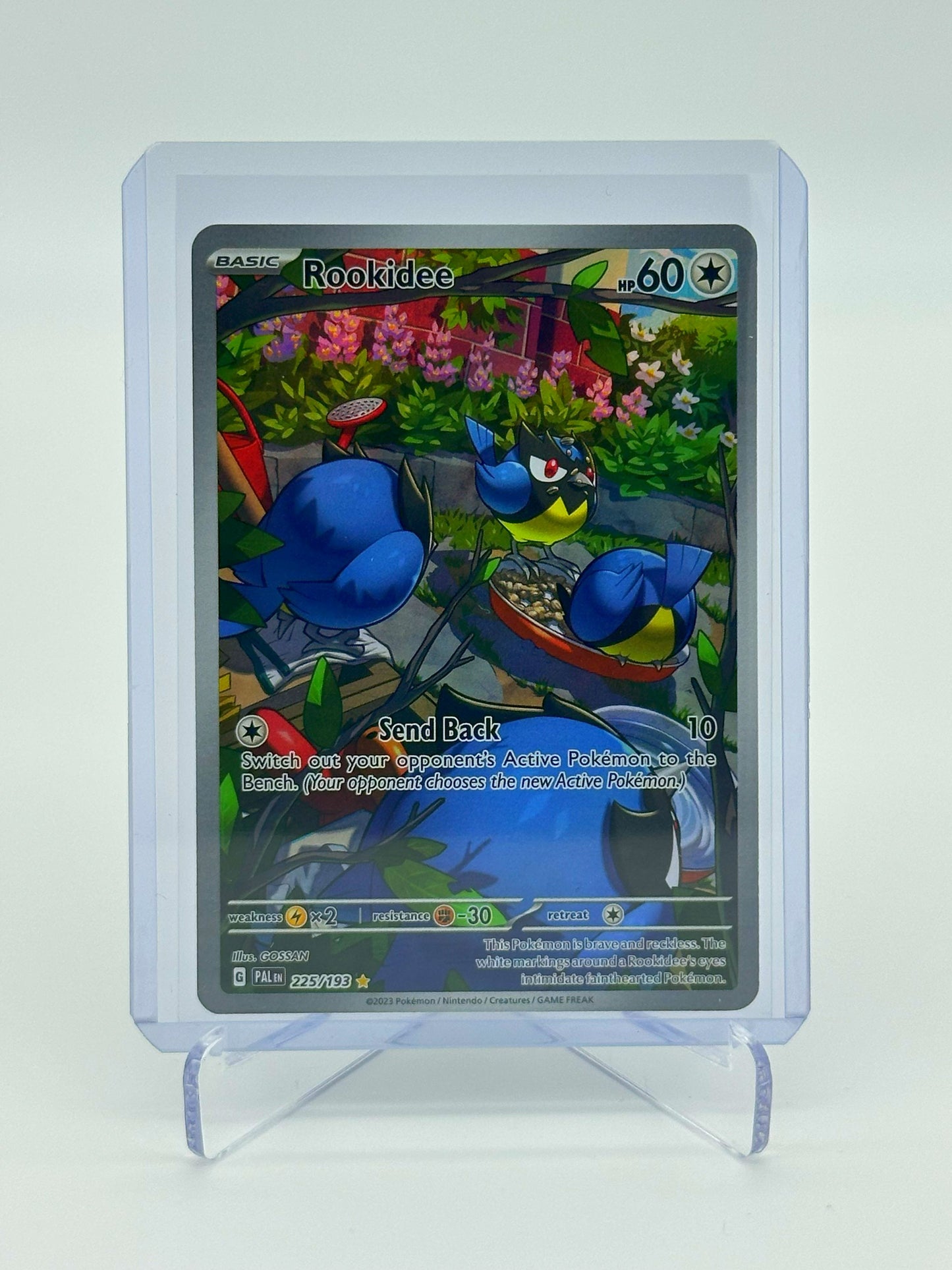 2023 Pokémon Paldea Evolved Rookidee #225