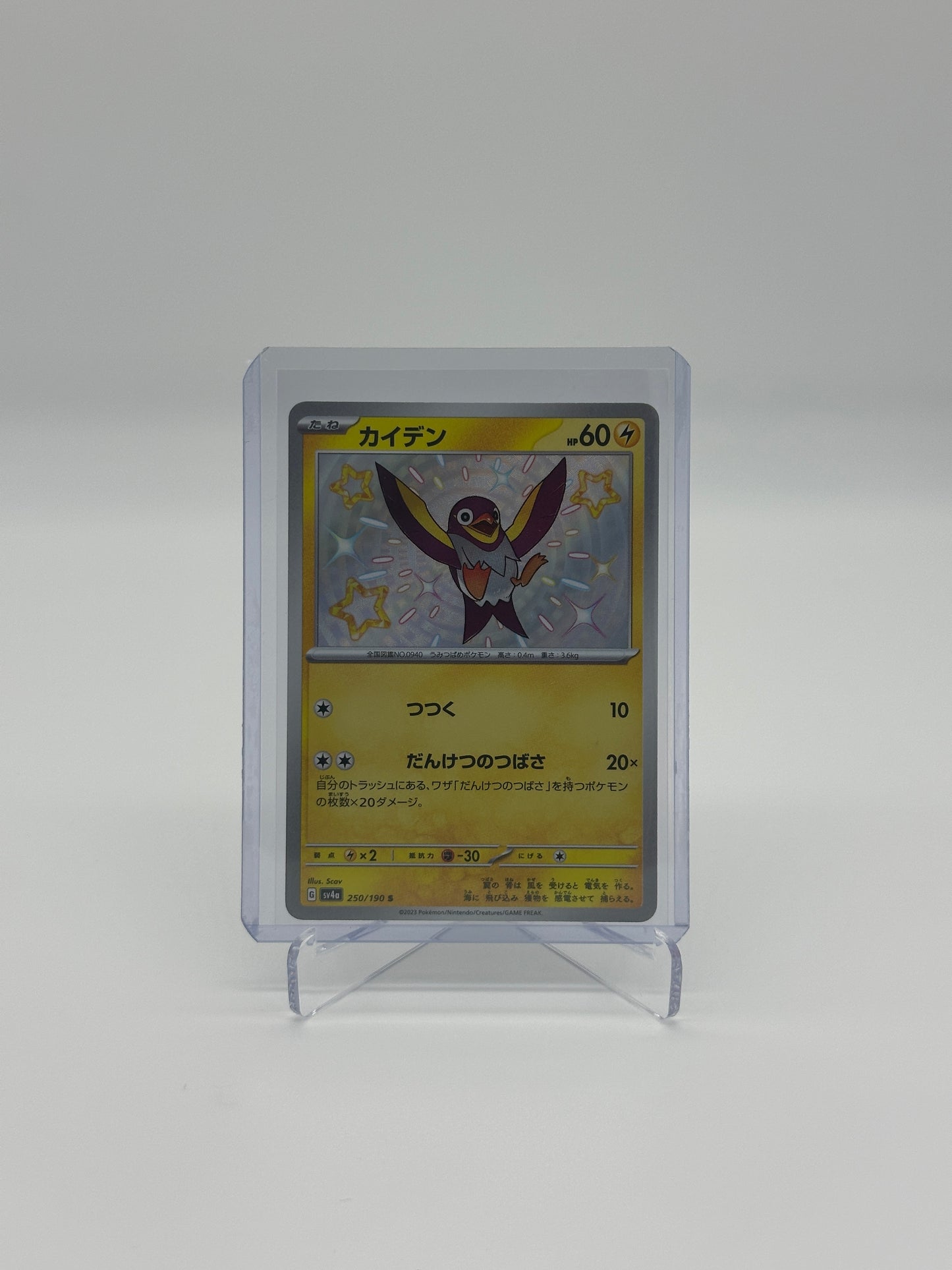 2023 Pokémon Japanese Shiny Treasure Ex Wattrel #250