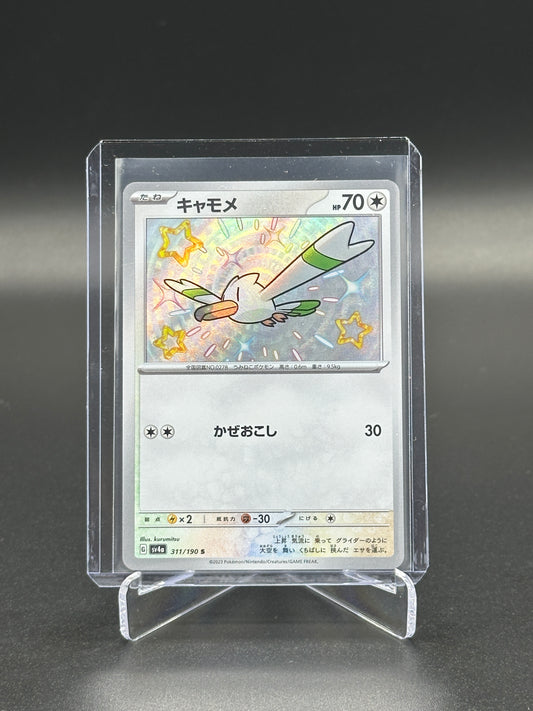 2023 Pokemon Japanese Shiny Treasure ex Wingull #311