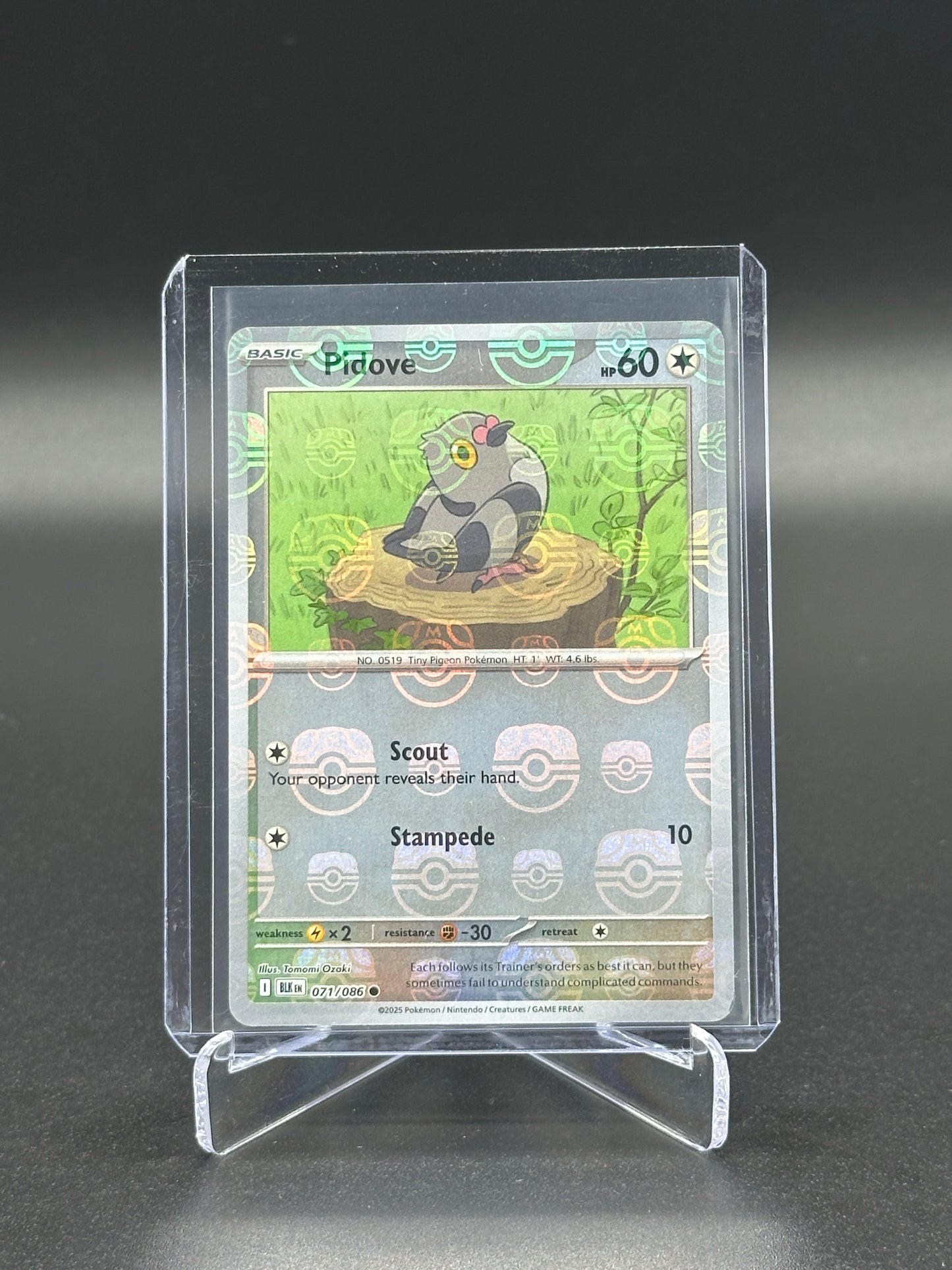 2025 Pokemon Black Bolt Pidove Master Ball #071