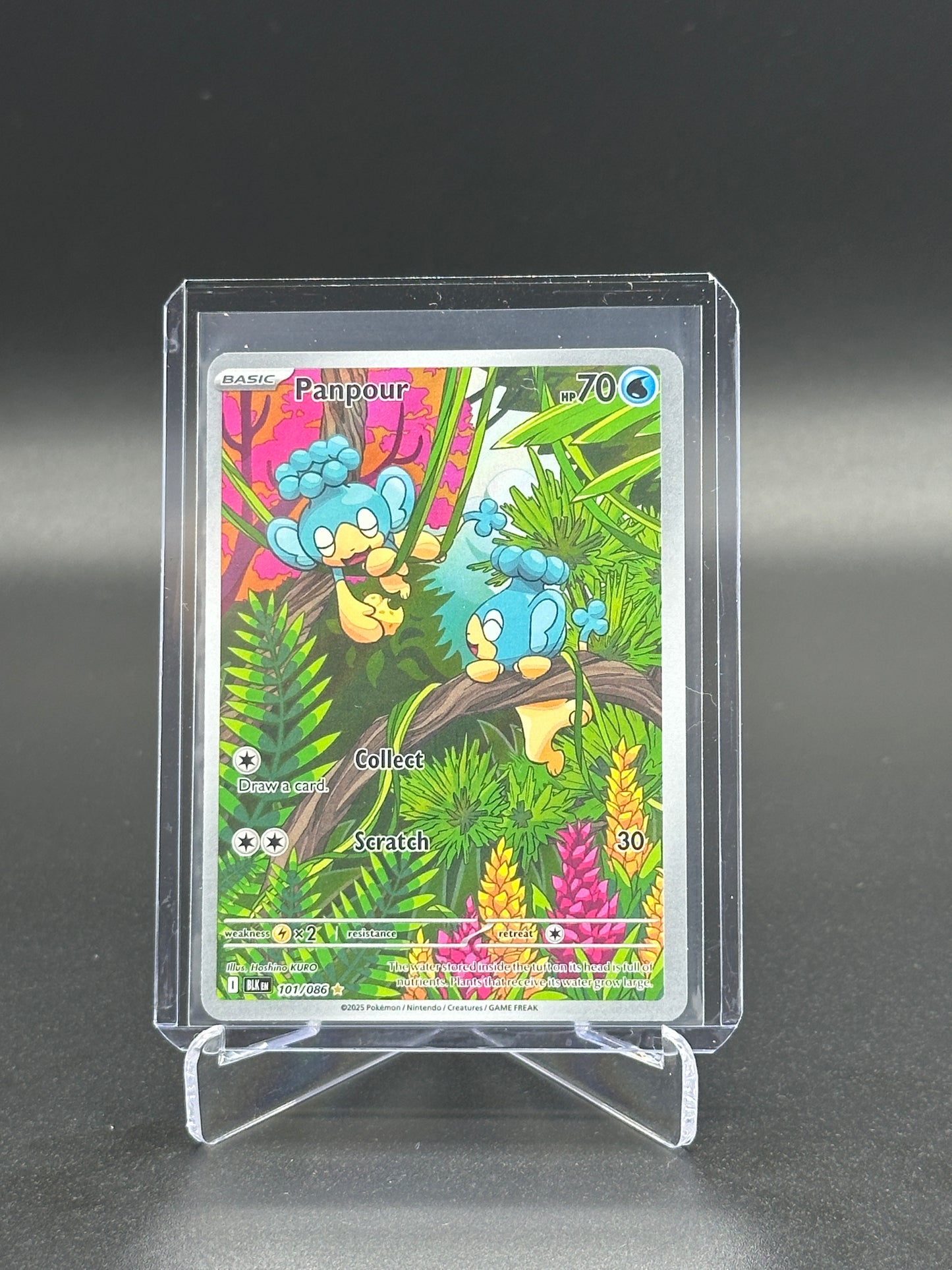 2025 Pokemon Black Bolt Panpour #101