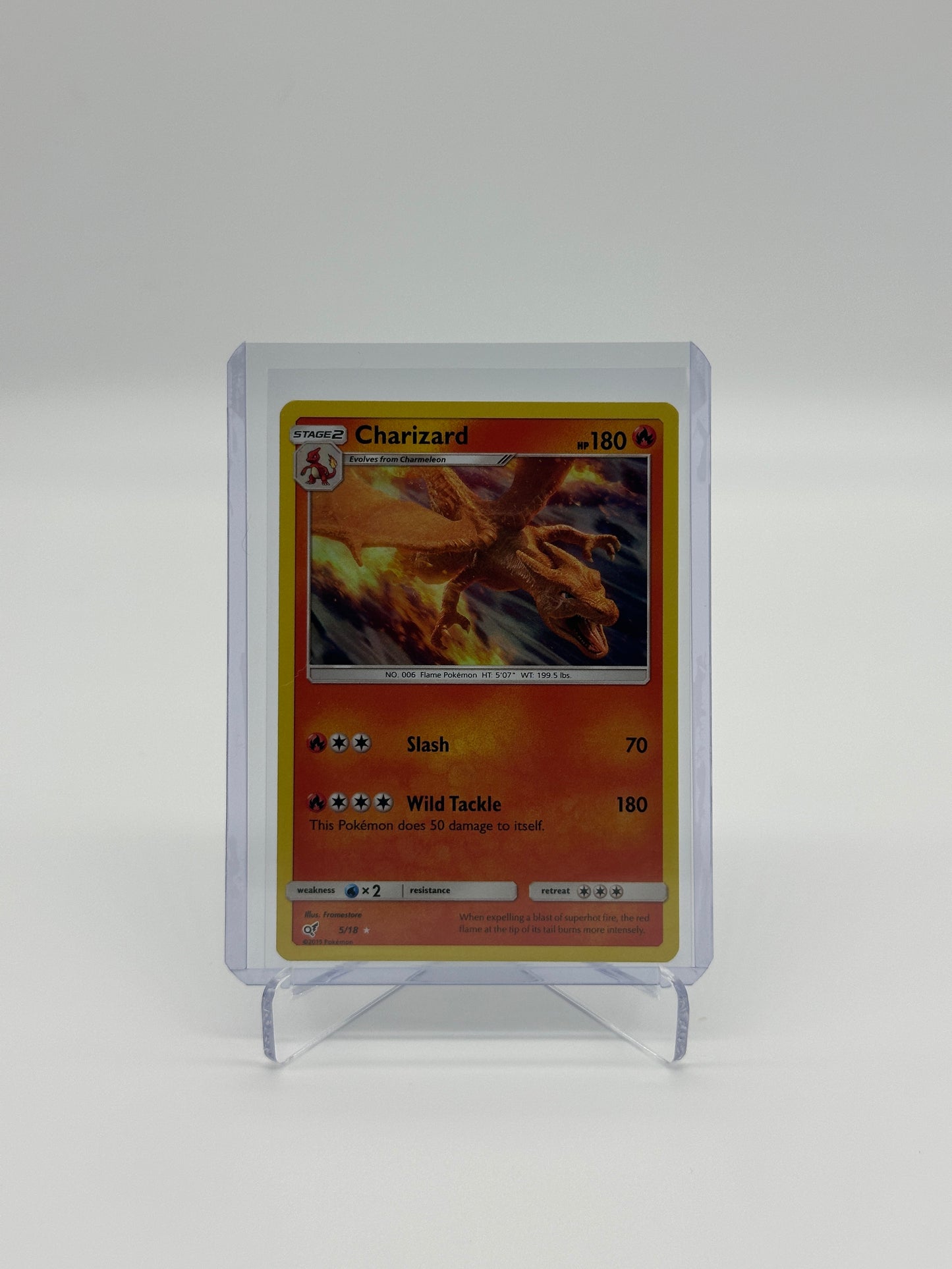 Pokemon Detective Pikachu Charizard 5