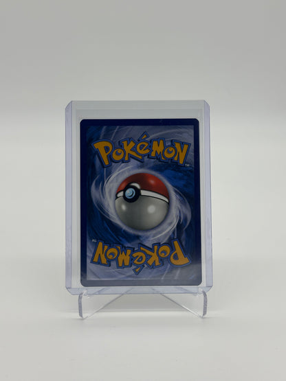 Pokemon Promo M Camerupt EX 198