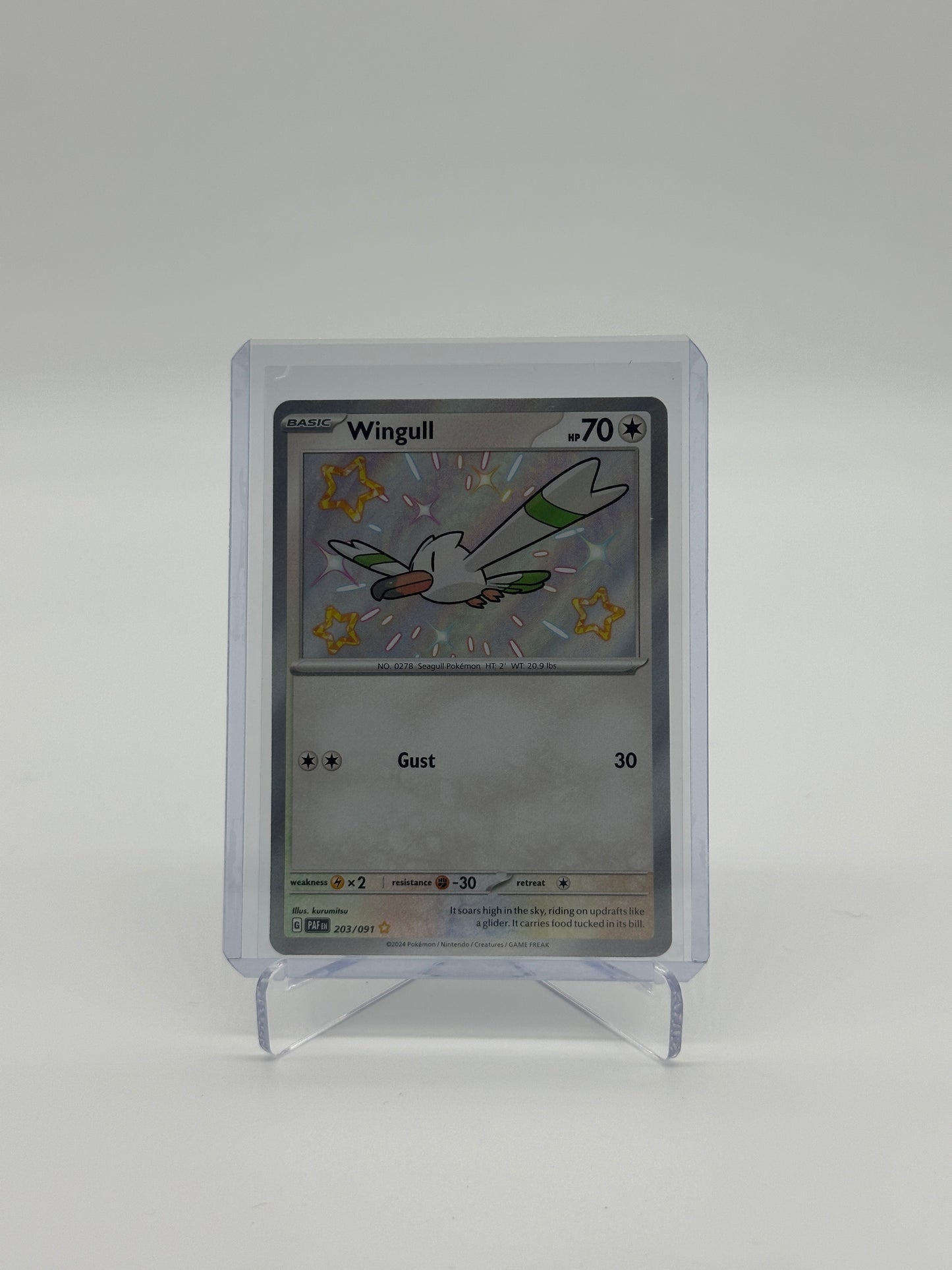 Pokemon Paldean Fates Wingull 203