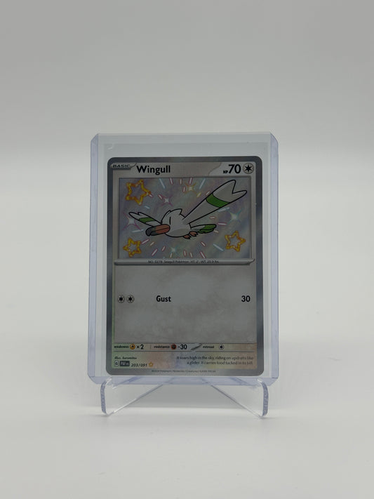 Pokemon Paldean Fates Wingull 203