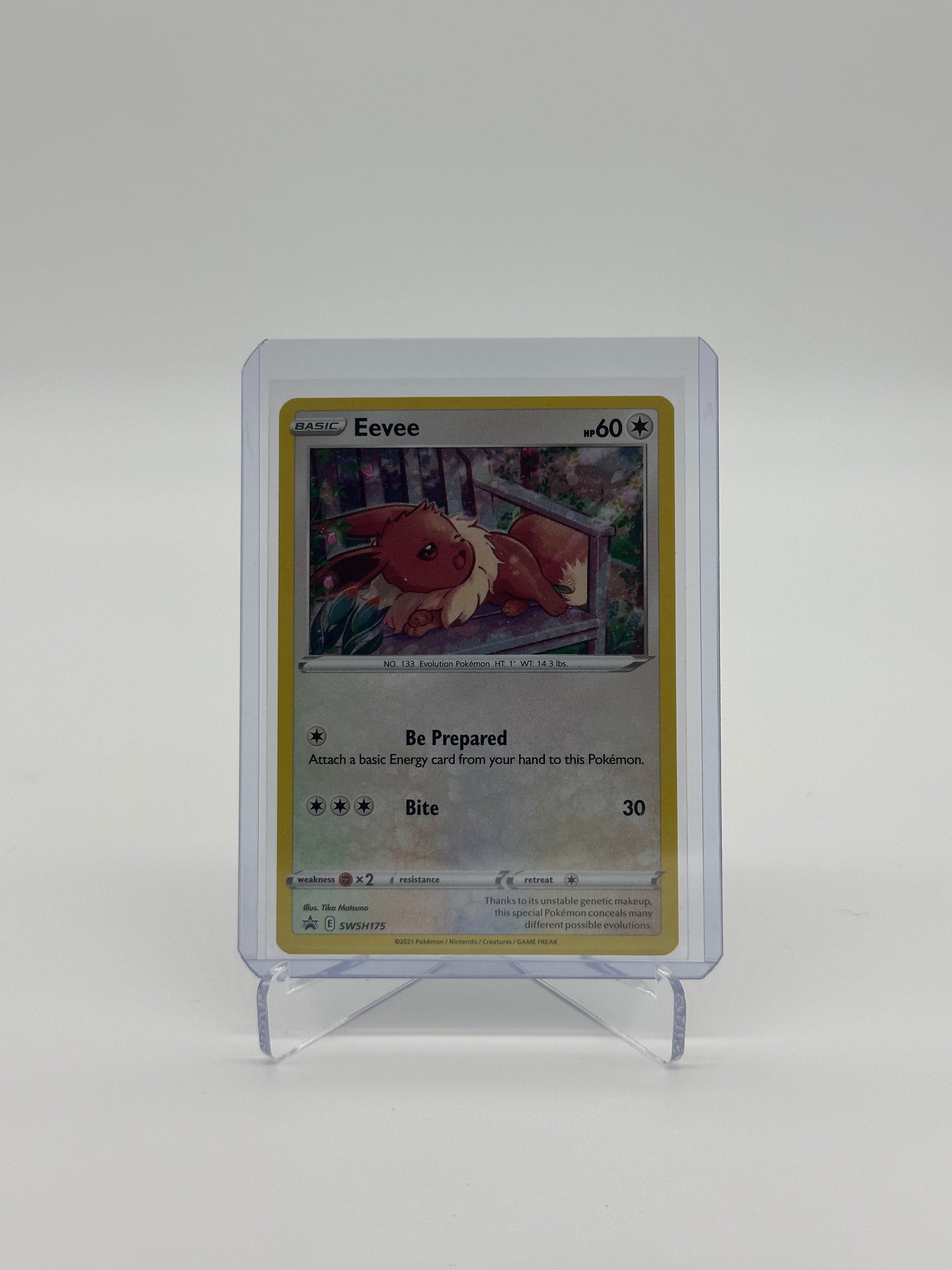 Pokemon Promo Eevee 175