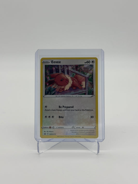 Pokemon Promo Eevee 175