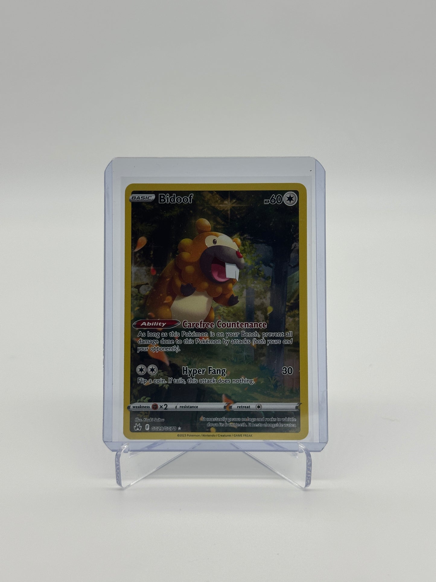 Pokemon Crown Zenith Bidoof GG29