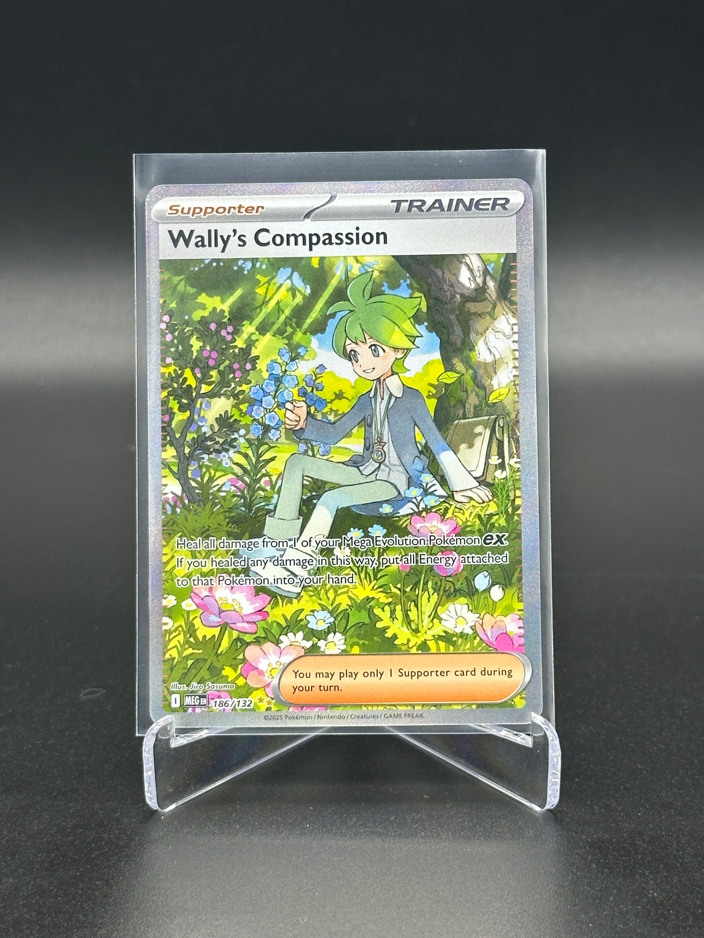 Pokemon Mega Evolution Wallys Compassion 186