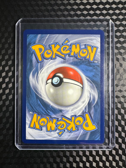 2020 Pokémon Darkness Ablaze Big Parasol 199/189