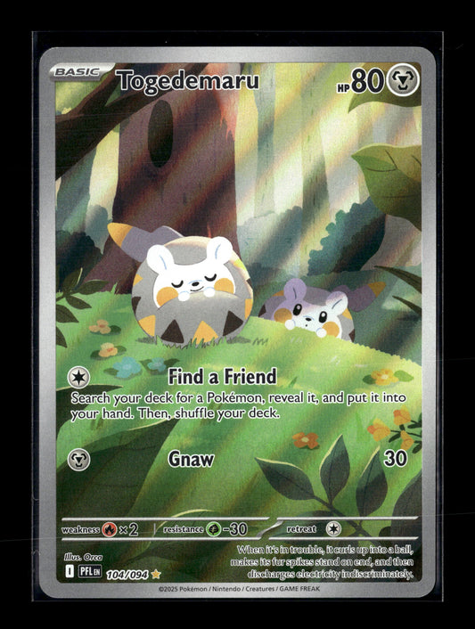 Pokemon Phantasmal Flames Togedemaru 104