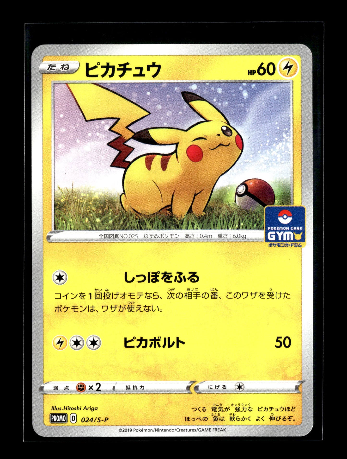 Pokemon Japanese Promo Pikachu 24