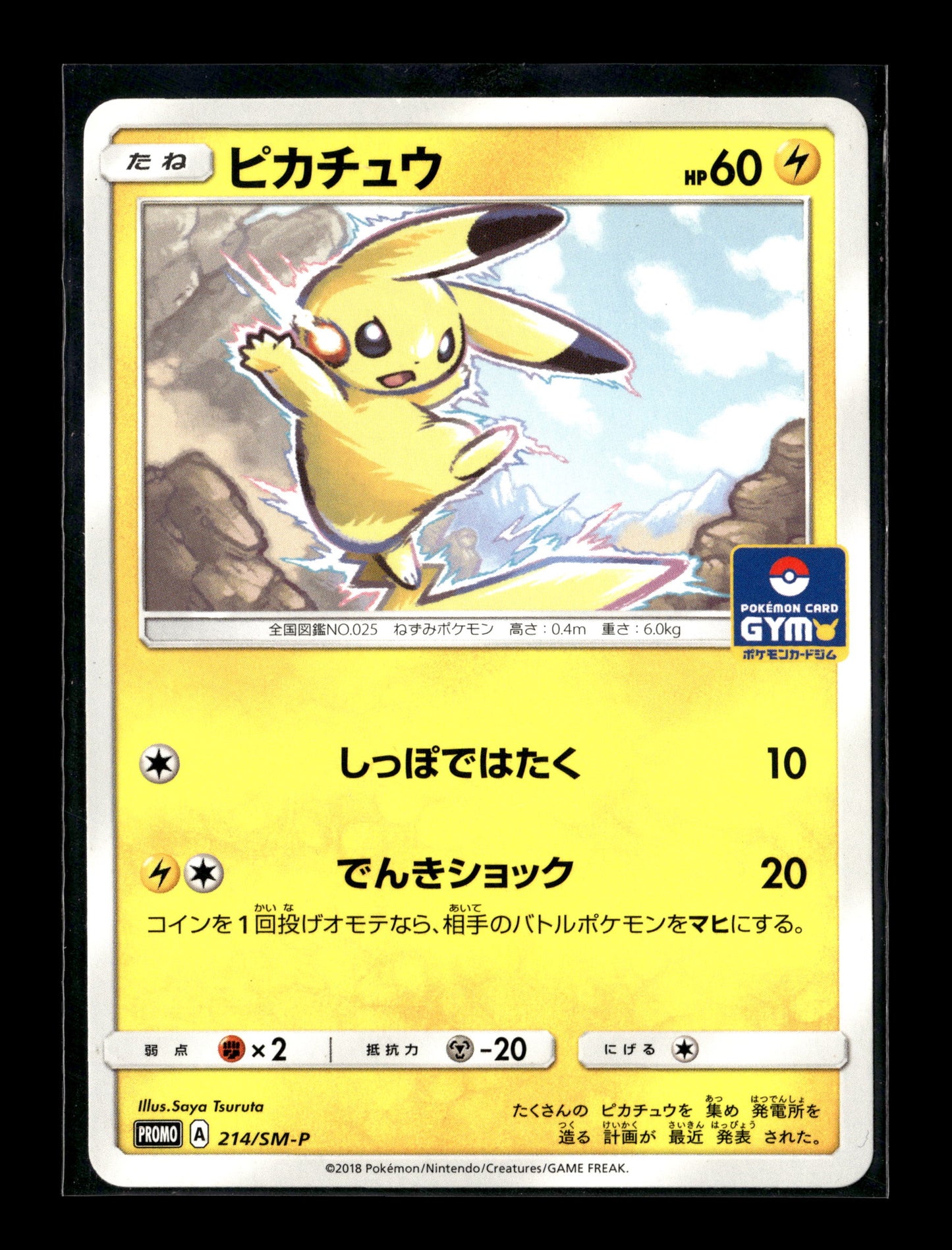 Pokemon Japanese Promo JP Pikachu 214