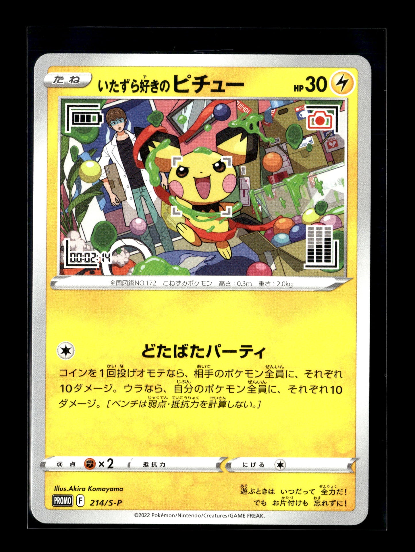 Pokemon Mischievous Pichu 214