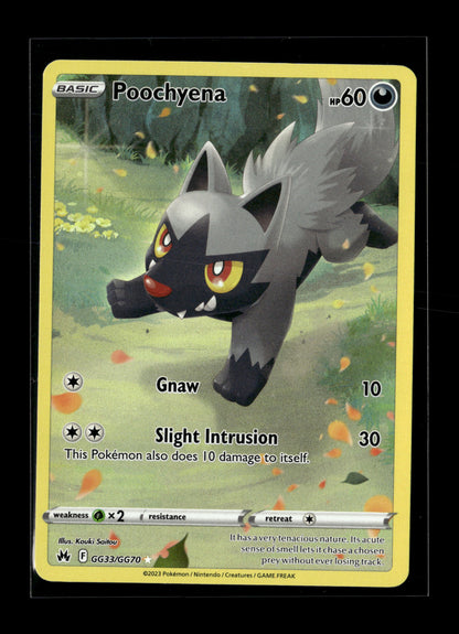 Pokemon Crown Zenith Poochyena GG33