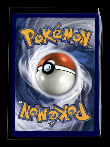 Pokemon Evolutions Misty's Determination 108