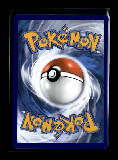 Pokemon Celebrations Team Magma's Groudon 9