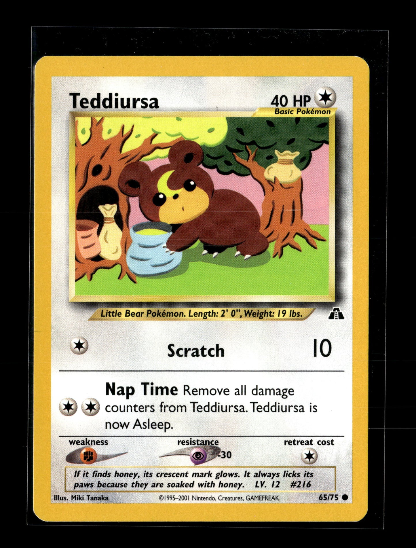 Pokemon Neo Discovery Teddiursa 65