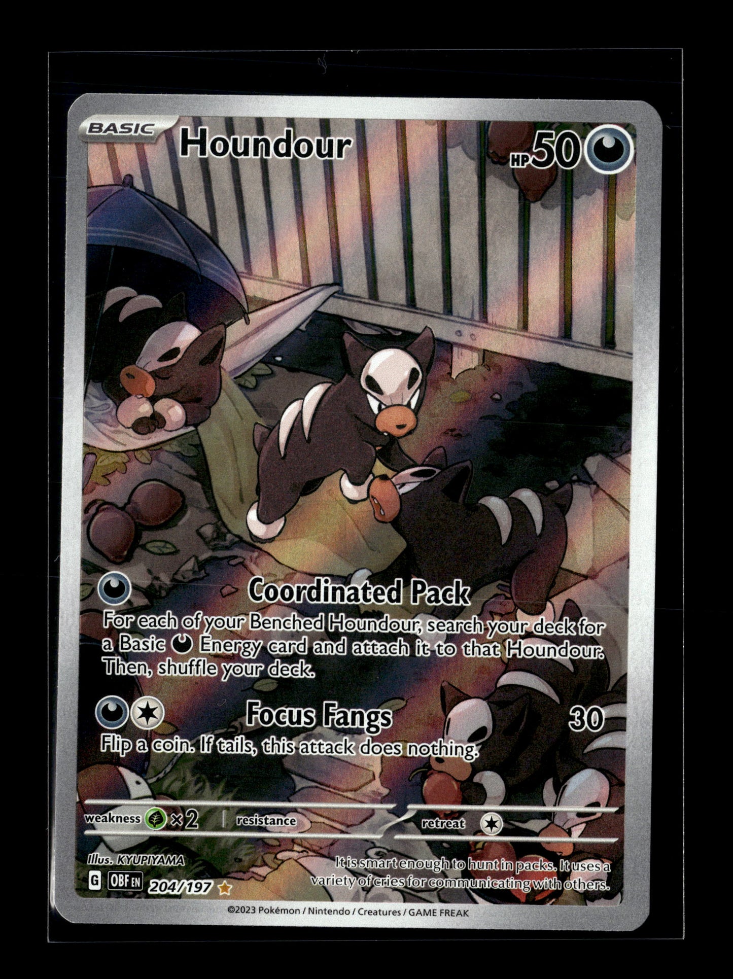 Pokemon Obsidian Flames Houndour 204