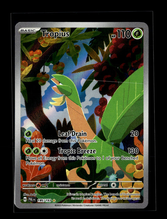 Pokemon Paldea Evolved Tropius 195