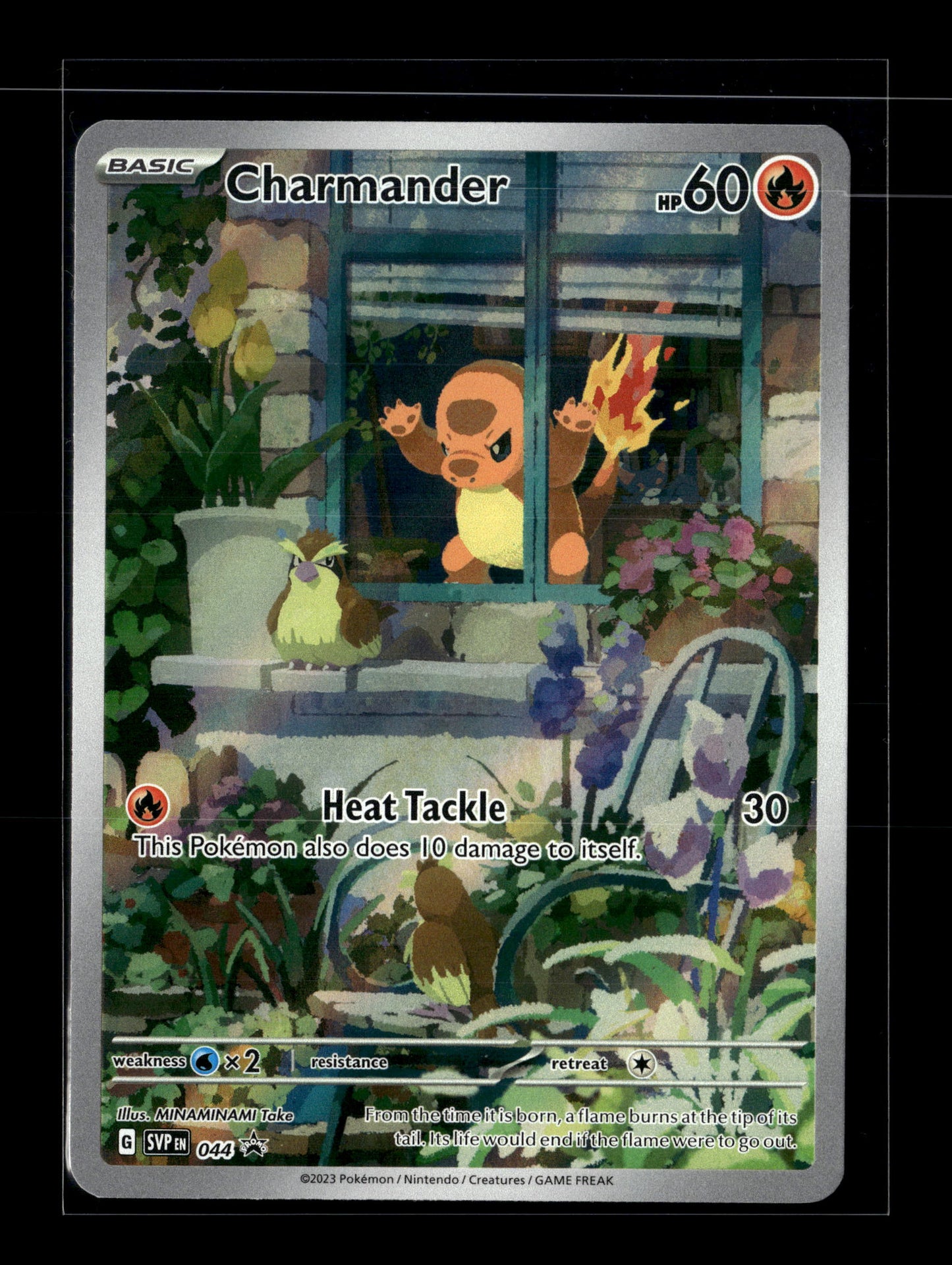 Pokemon Promo Charmander 44