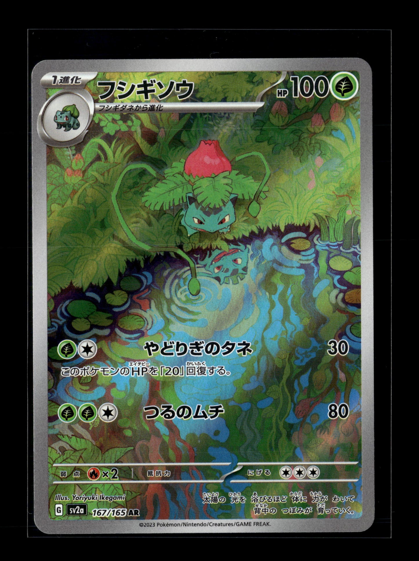 Pokemon Japanese 151 Ivysaur 167