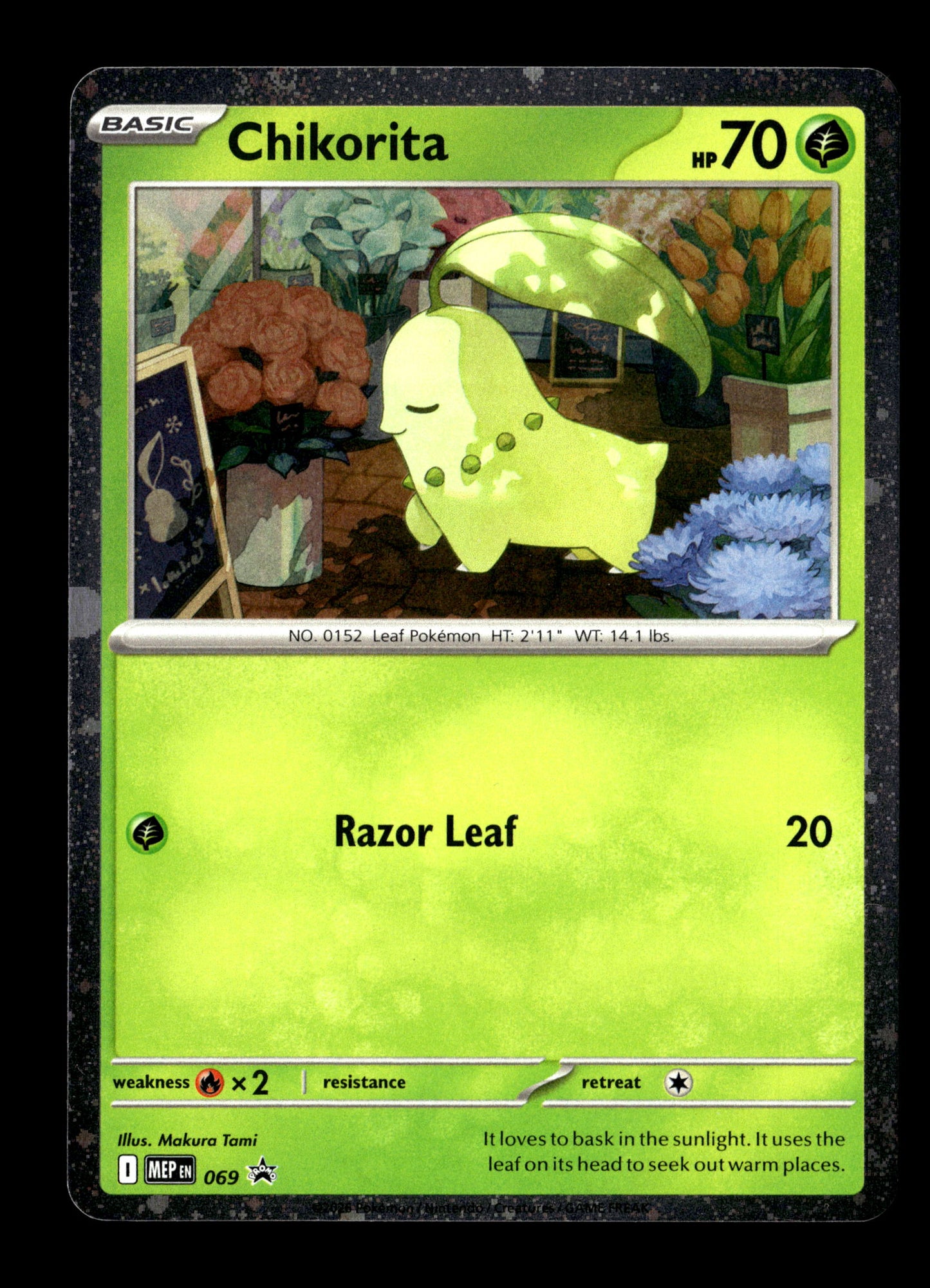 Pokemon Mega Evolution Promo Chikorita 69