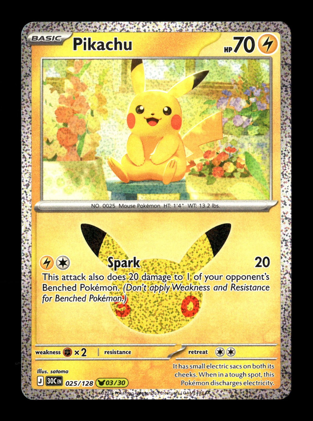 Pokemon 30th Celebration Pikachu 025