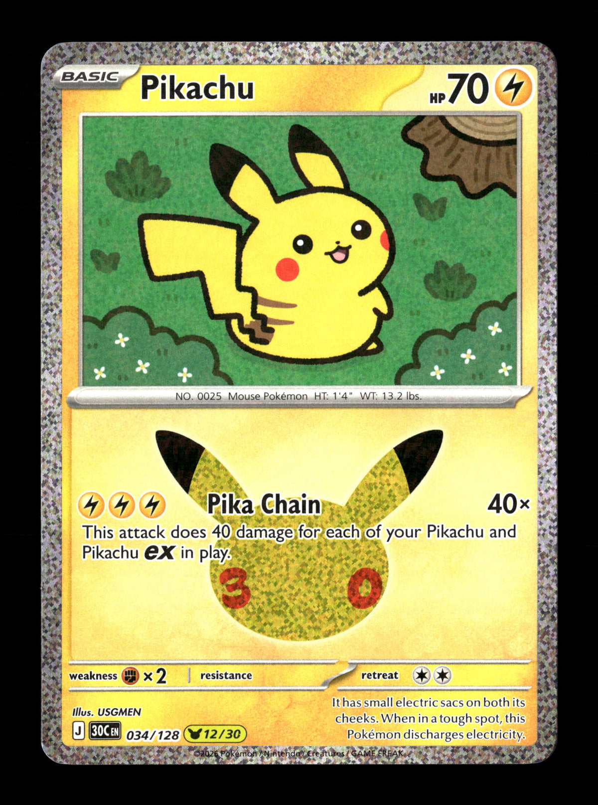 Pokemon 30th Celebration Pikachu 034