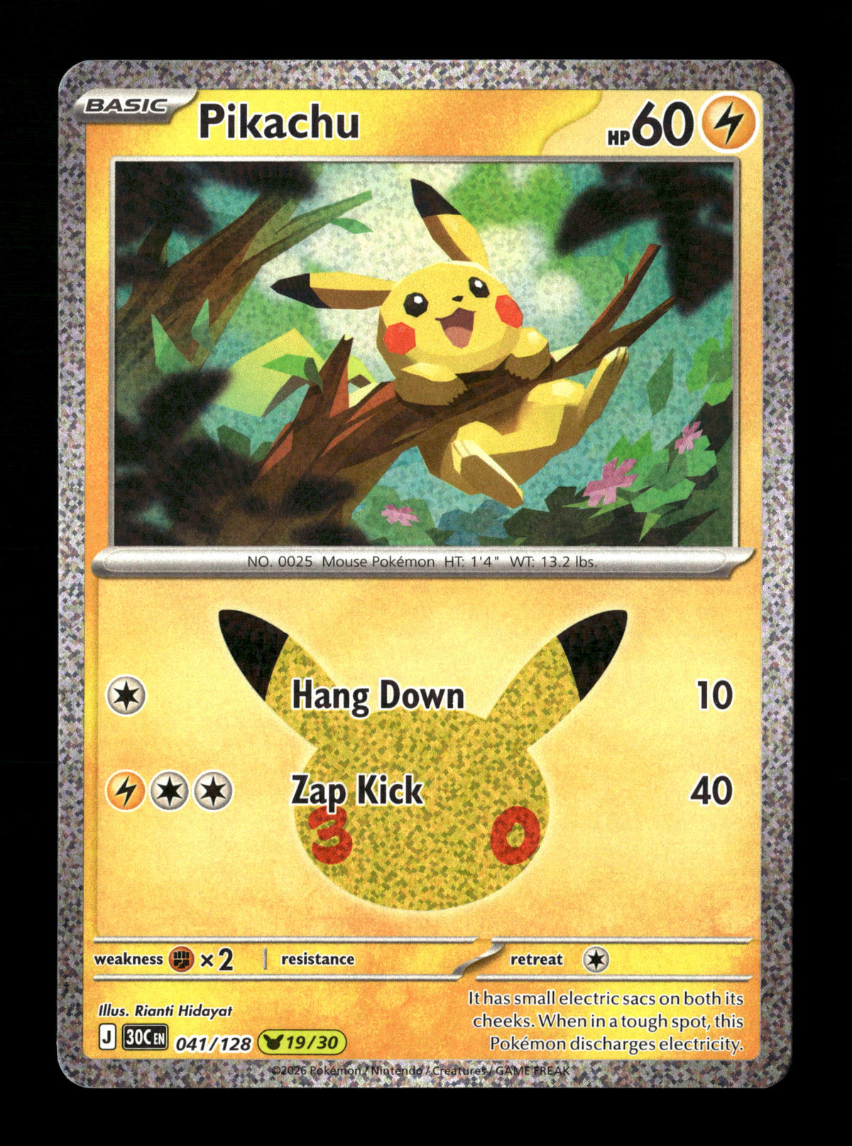 Pokemon 30th Celebration Pikachu 041